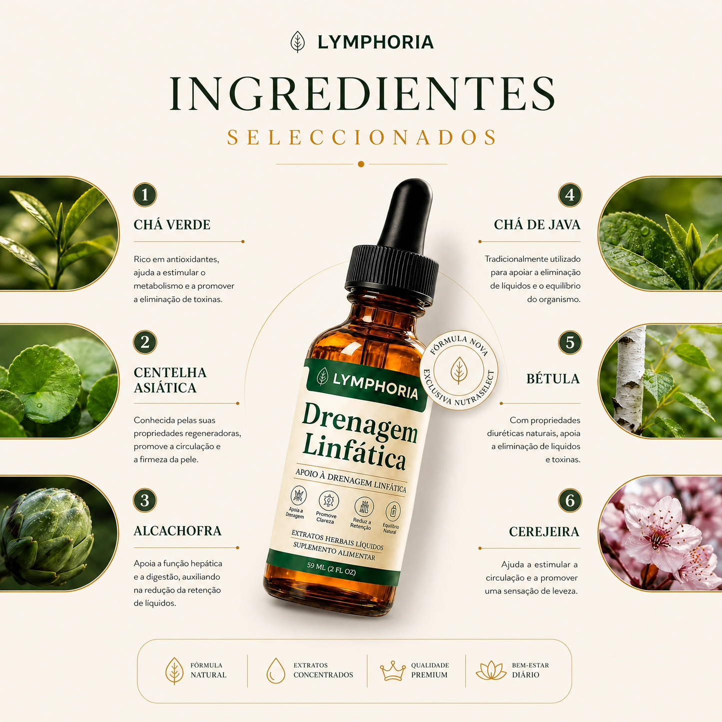 Lymphoria® – Gotas de Apoio Linfático